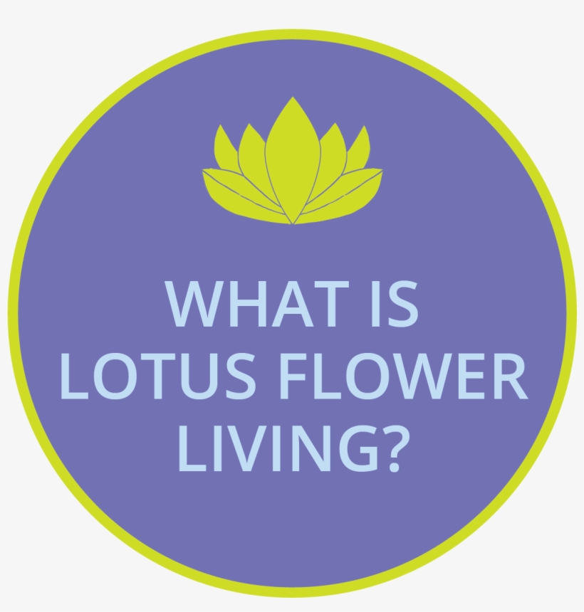 Welcome To Lotus Flower Living - 5 Star Windows, transparent png