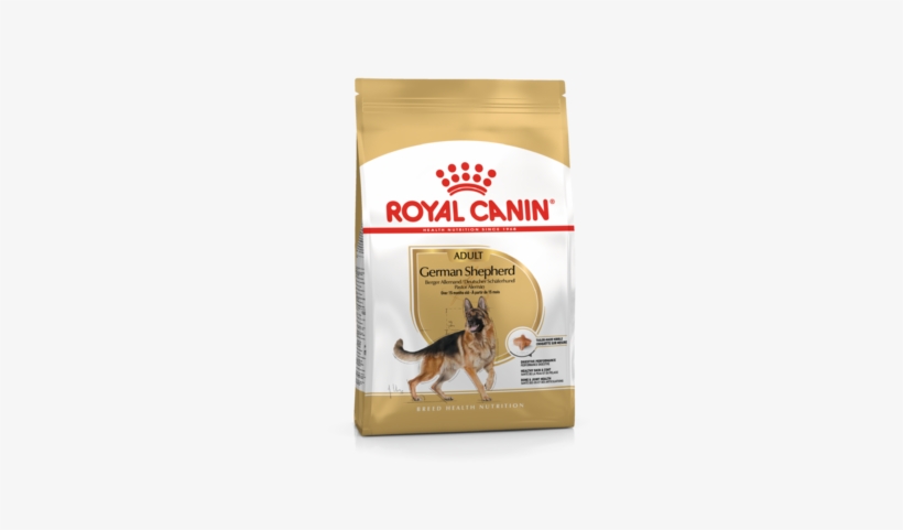 royal canin feline british shorthair 10 kg