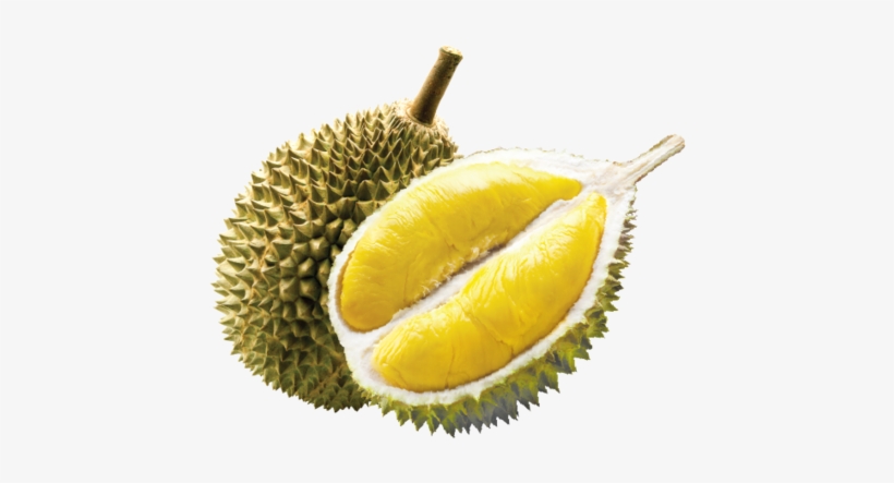 Durian Fruit Png - Durian Potong Ice Cream, transparent png