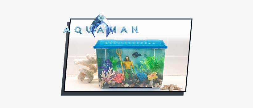 Aquarium, transparent png