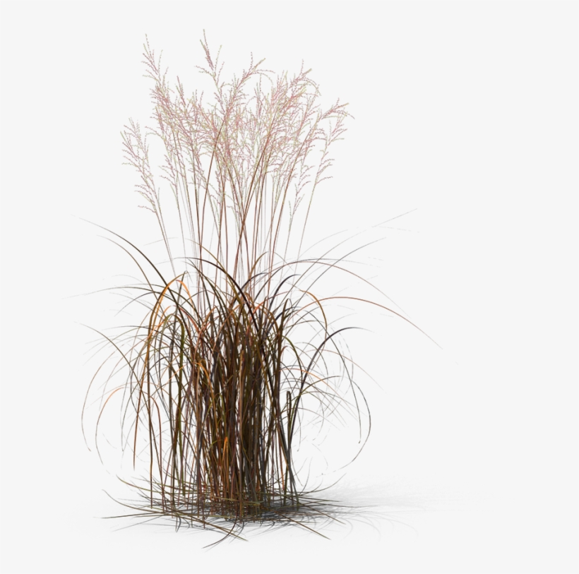 3d Modeling, transparent png