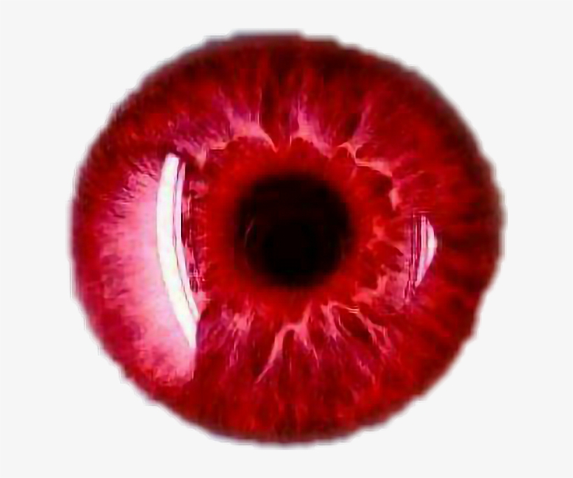 Personas Albinas Ojos Rojos, transparent png