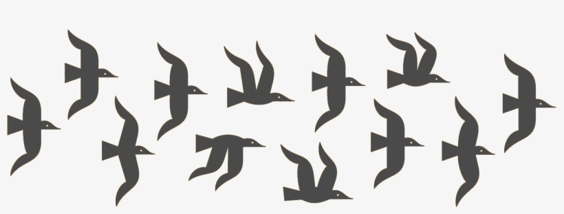 Hero Image - University Of Pittsburgh, transparent png