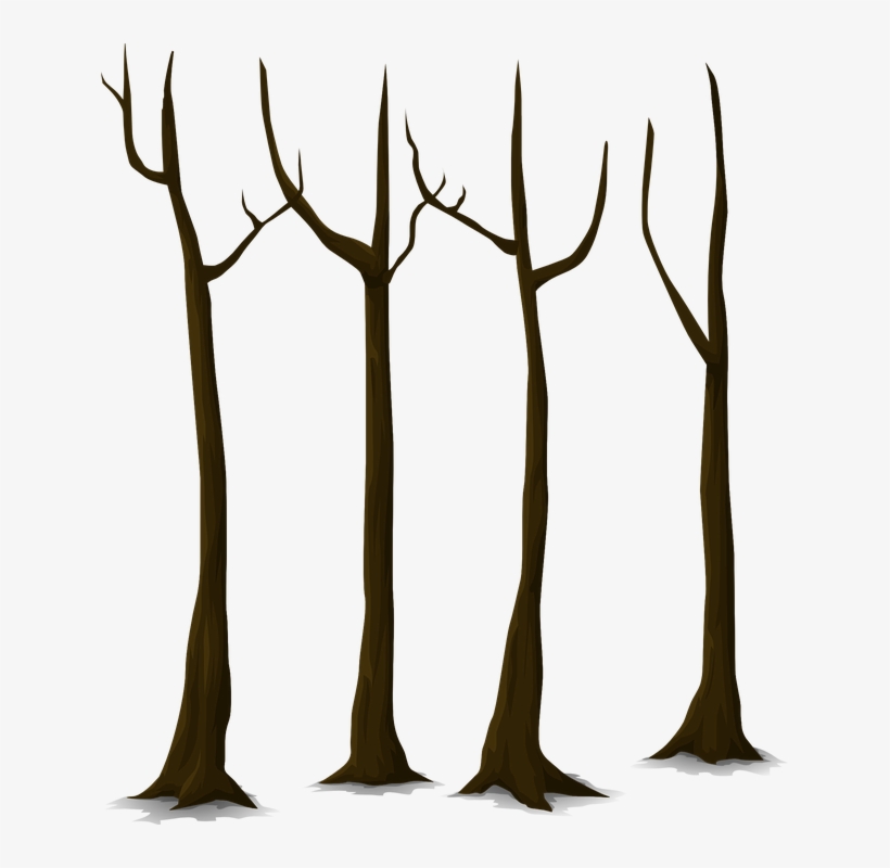 Tree Trunk Vector Png - Martha And Mitch, transparent png
