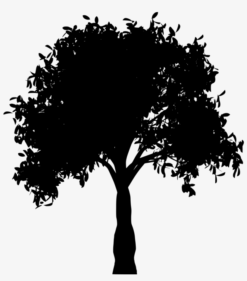 Download Png - Transparent Tree Clip Art Black And White Png, transparent png