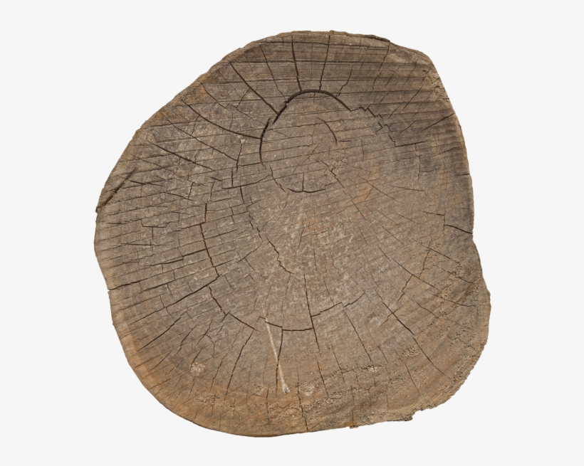 Materials - > - Nature - Trunk, transparent png