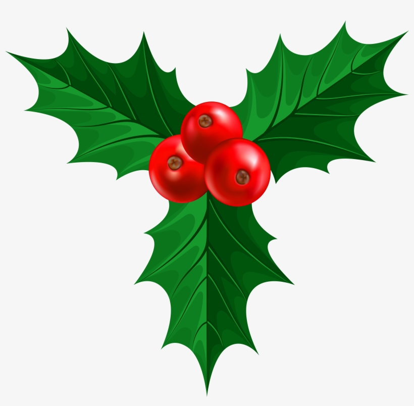 Holly Png, transparent png