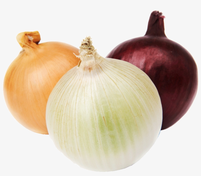 Onion 1 Kg - Stock Photography, transparent png