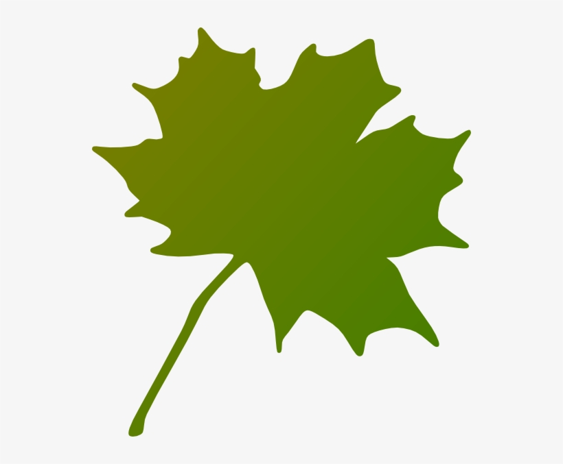 How To Set Use Green Gradient Maple Leaf Clipart - Canada's Maple Leaf Transparent, transparent png