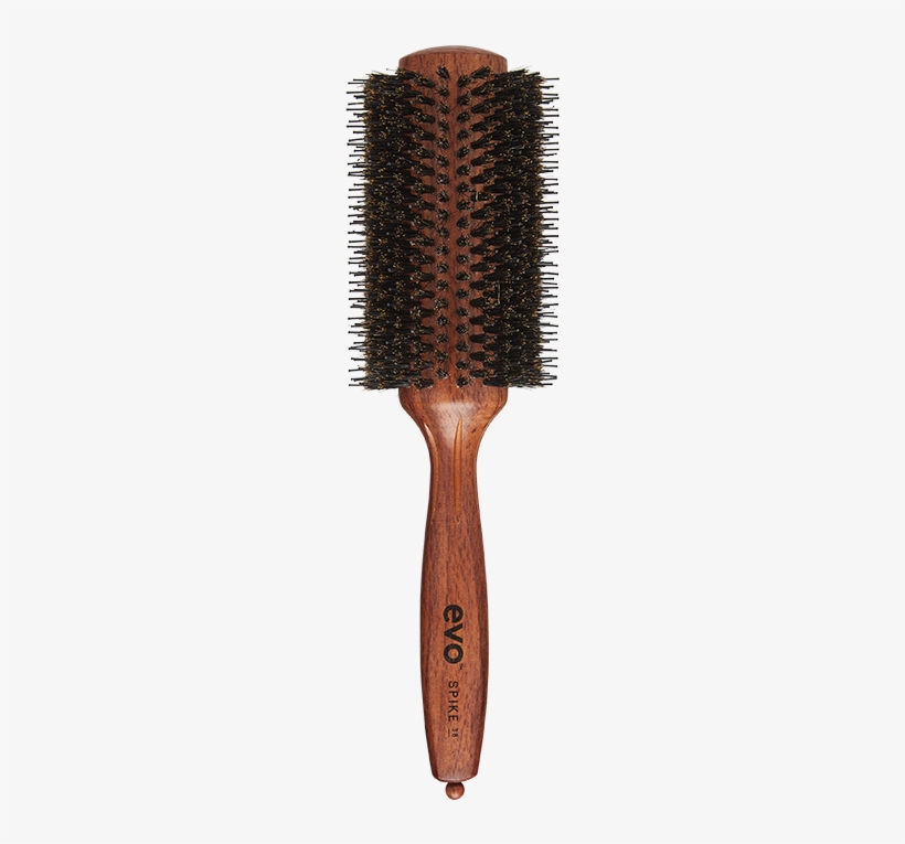 Evo Bruce 28 - Brush, transparent png