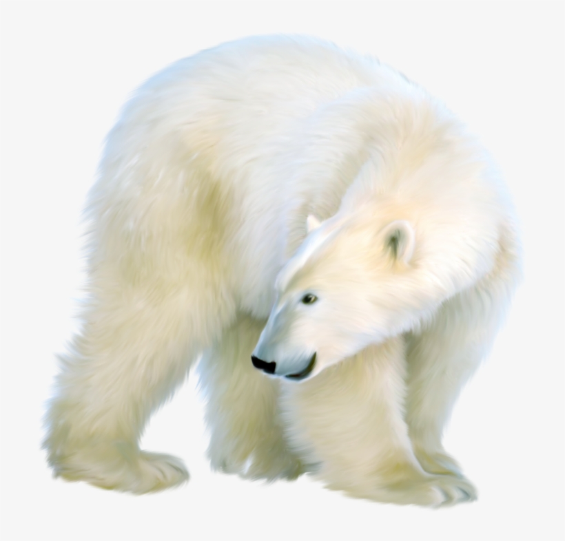 Png Polar Bear Clip Art Black And White - Polar Bear, transparent png