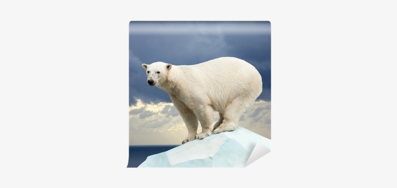 Wild Animals (hb)....future Books, transparent png