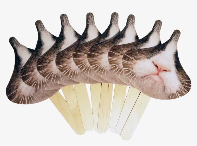Loading Zoom - Cat, transparent png