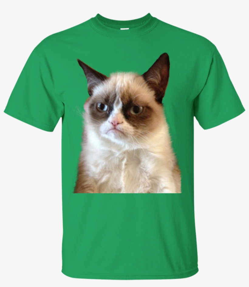 Grumpy Cat T-shirt - 61 X 92cm Grumpy Cat Maxi Poster, transparent png