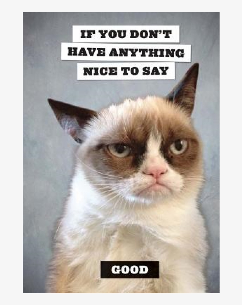 Chronicle Books - Grumpy Cat, transparent png