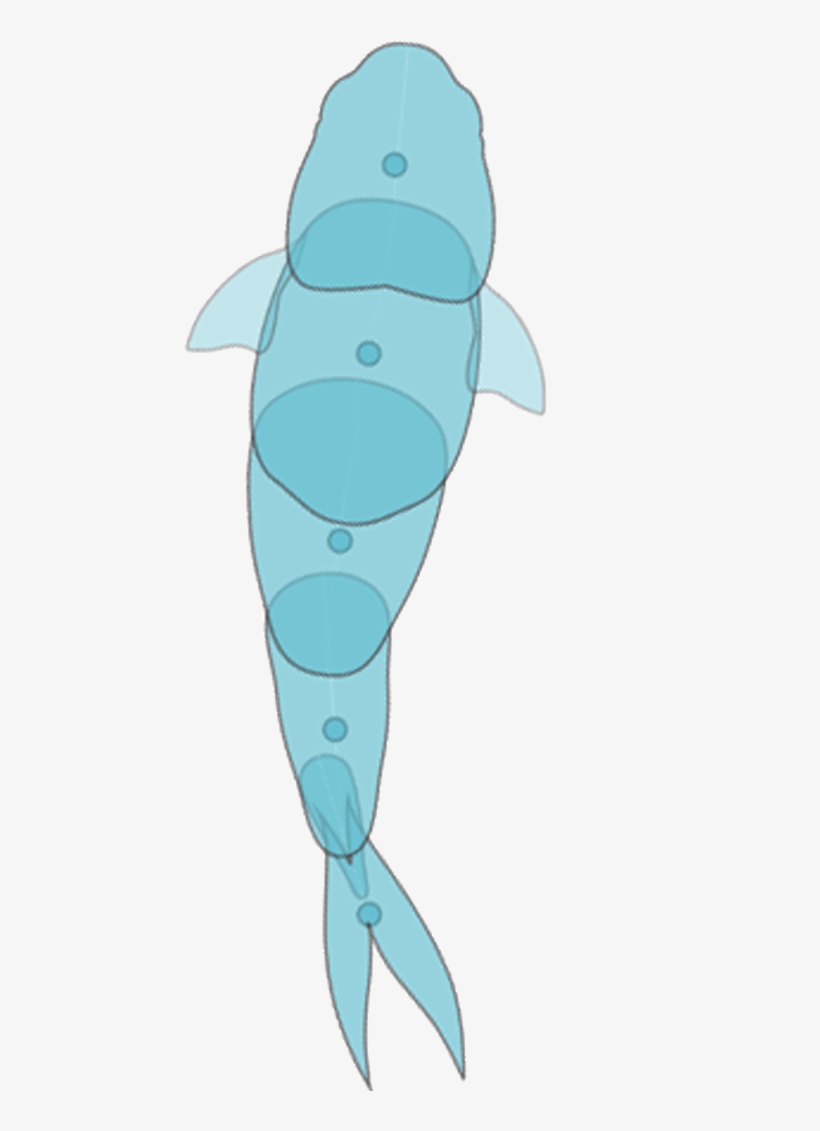 Fish-dia01, transparent png