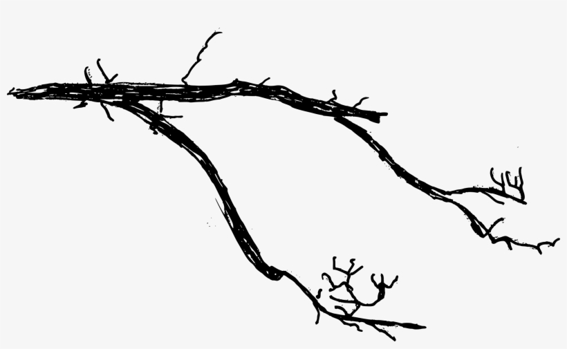 Free Download - Twig, transparent png