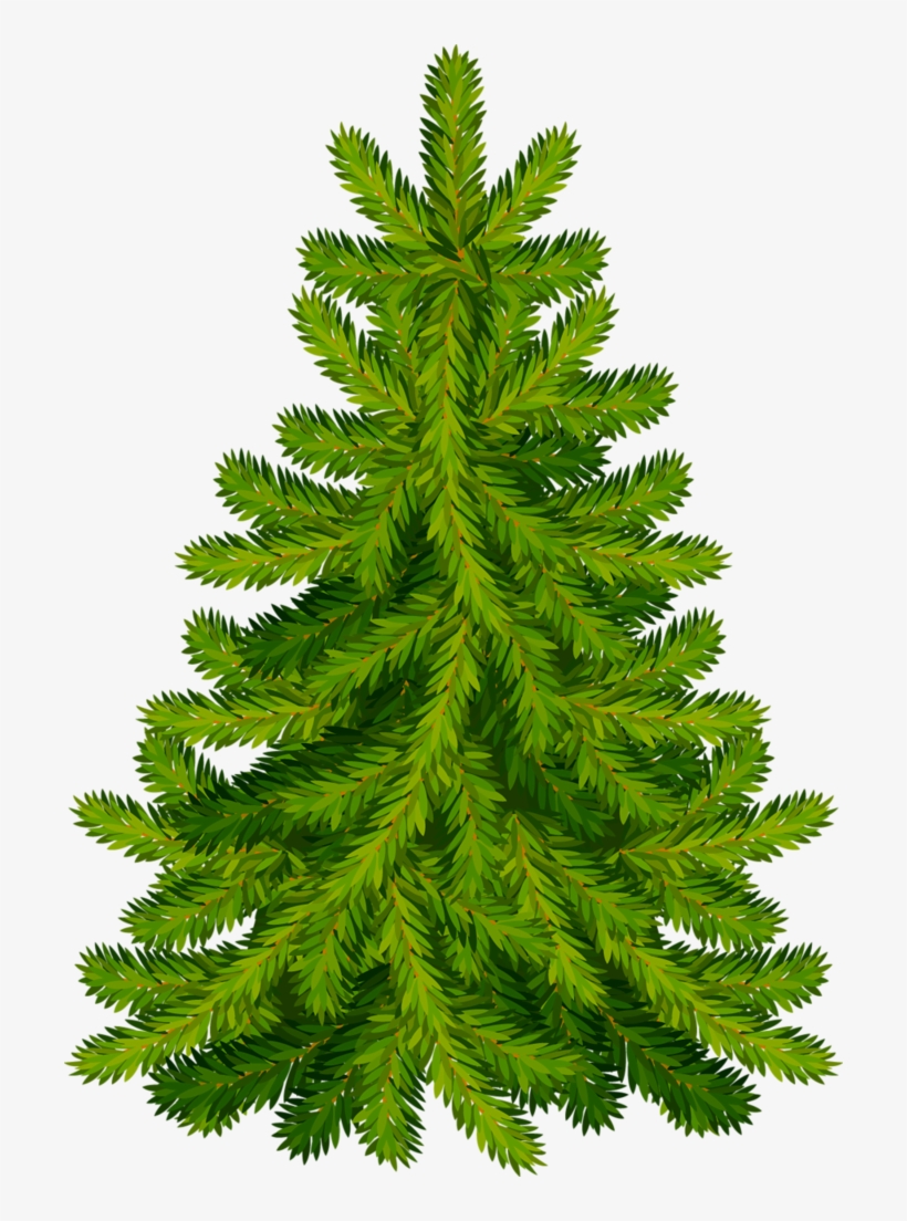 Trees ‿✿⁀°••○ - Christmas Tree, transparent png