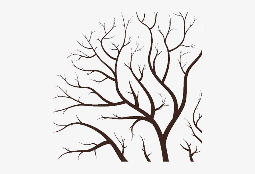 Tree-002 - Tree Branches Clip Art, transparent png