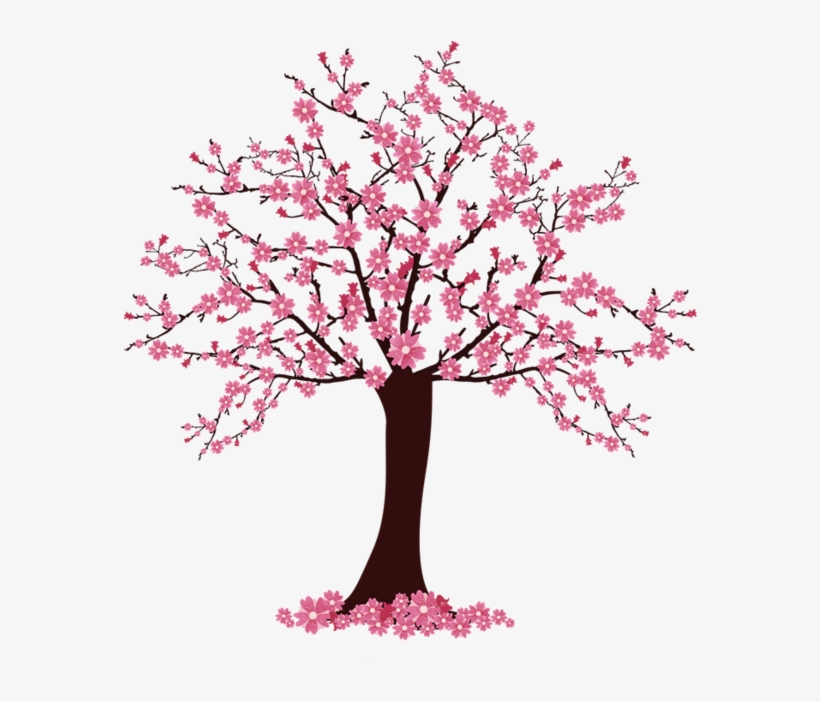 Cherry Blossom Tree Clip Art - Árvore De Cerejeira Desenho, transparent png