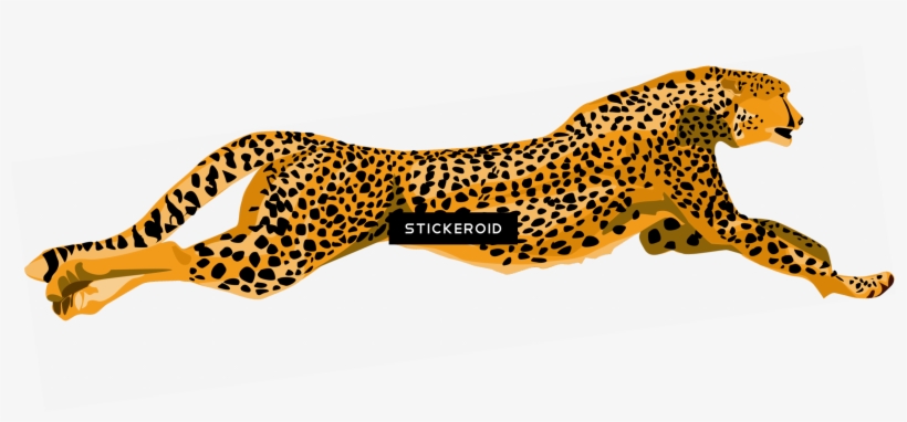 Cheetah Animals - Cheetahs Rock Rectangle Sticker, transparent png