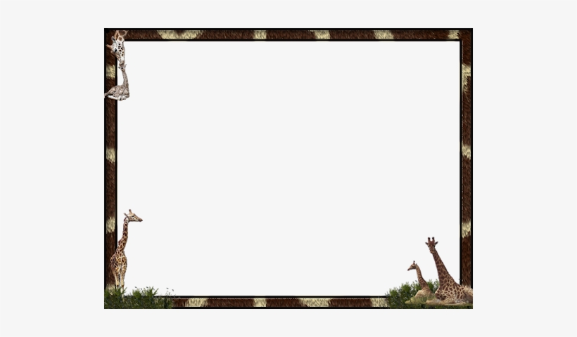 Giraffes2 - Photograph, transparent png