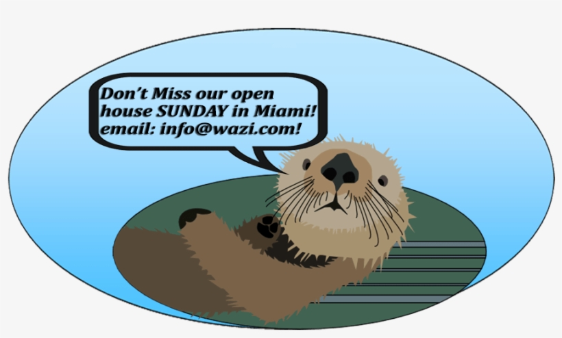 Otter Offer For Open House Miami Wp Float - Custom Otter Shower Curtain, transparent png