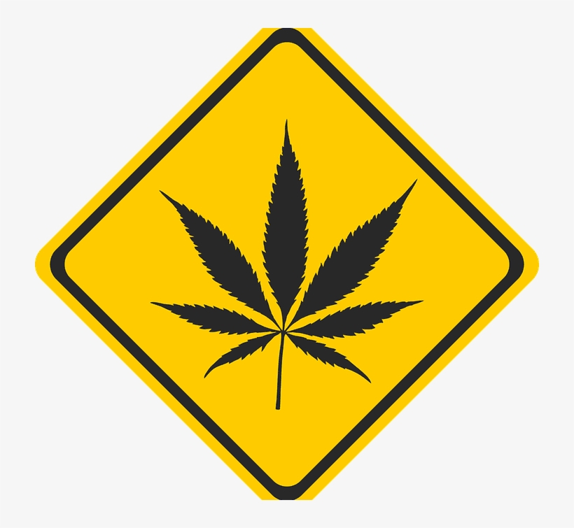 Updates On Recreational Marijuana Las Vegas - Pot Leaf, transparent png