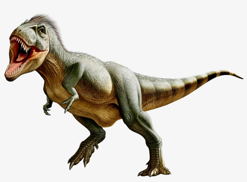 Trex Png - T Rex Real Appearance, transparent png