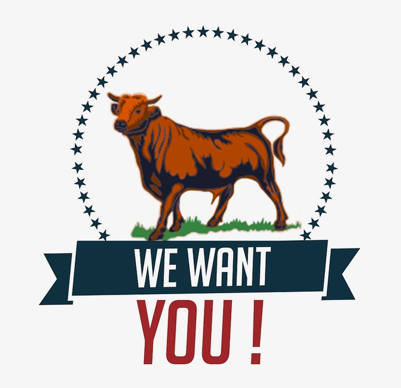 We Want You Bull - Uncle Sam We Want You, transparent png