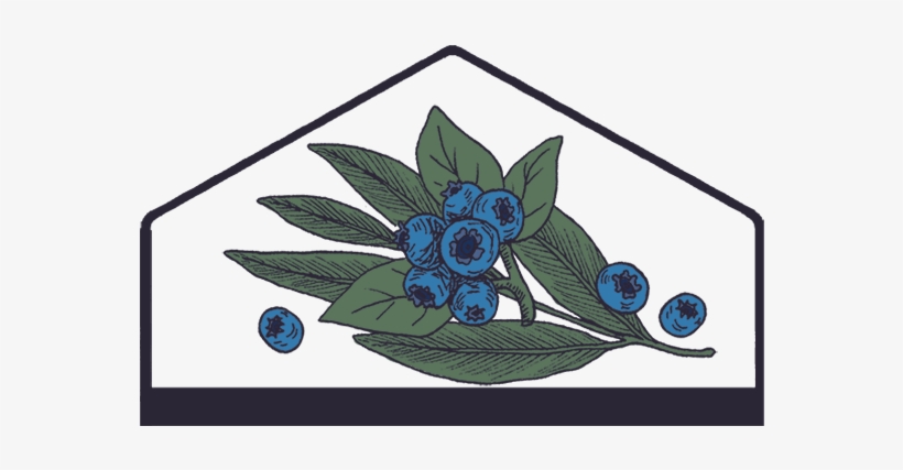Blueberry Sagecocktail Shrub - Blueberry, transparent png