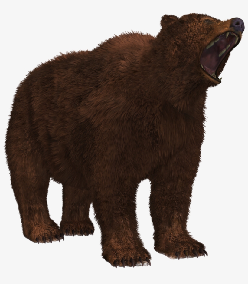 Bear Png 8 Png Image - Grizzly Bear, transparent png