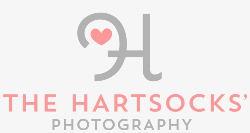 Photography Png, transparent png