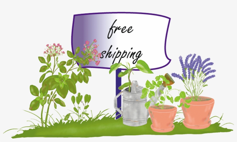 Free Shipping - Flowerpot, transparent png