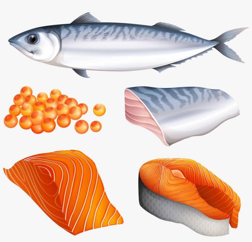 Фотки Food Sketch, Salmon Eggs, Food Game, Play Food, - Salmon Food Clipart, transparent png