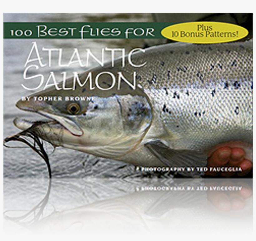 100 Best Flies For Atlantic Salmon - 100 Best Flies For Atlantic Salmon By Topher Browne, transparent png