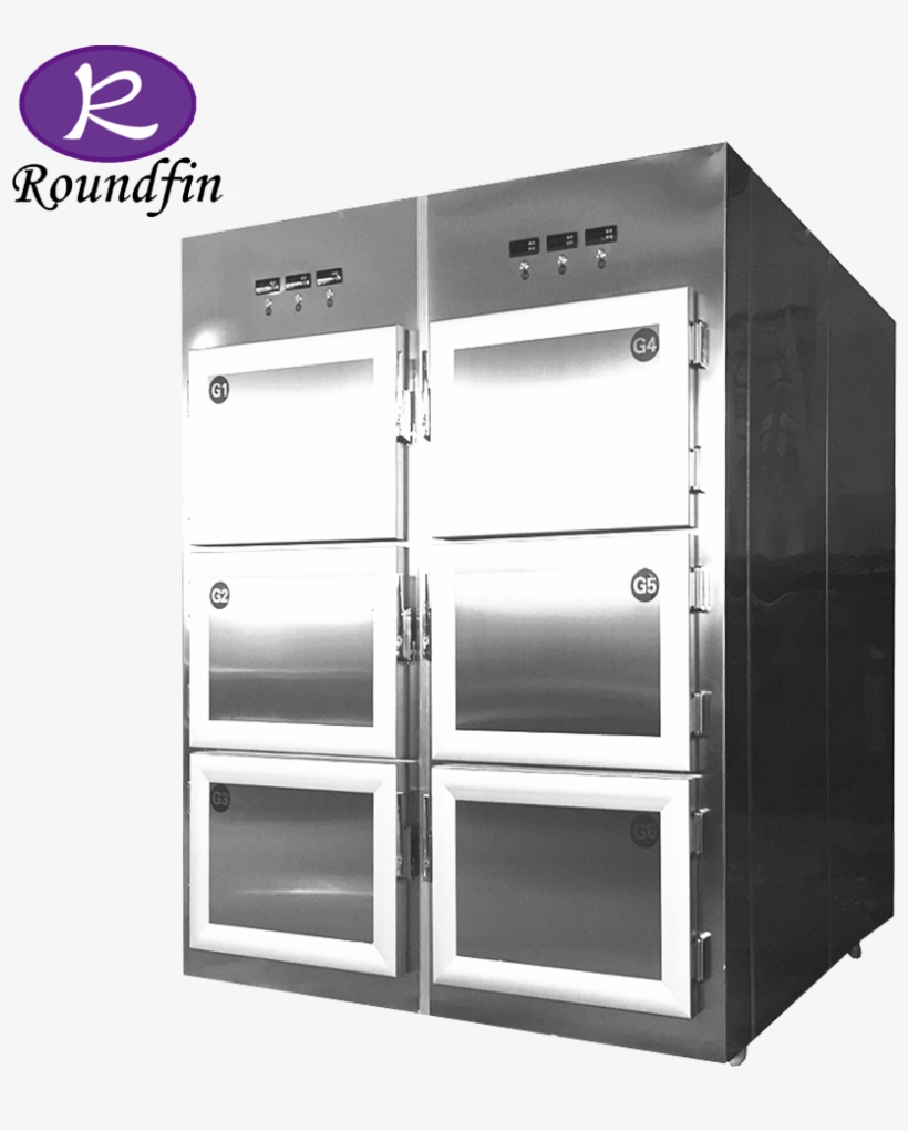 Dead Body Equipments Morgue Freezer Corpse Cold Storage - Cadaver, transparent png
