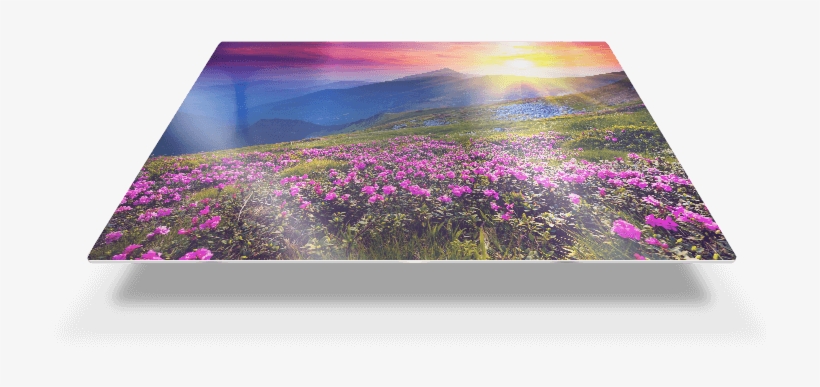 Make Your Favorite Memories Shine With Our New Metal - Easy Canvas Metal Prints, transparent png