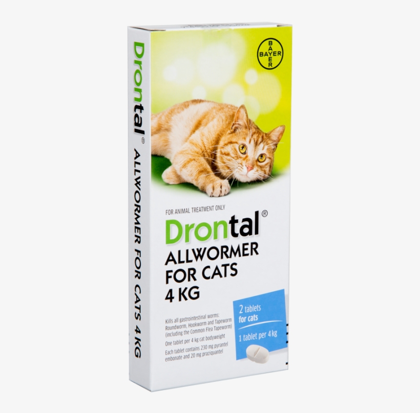 Drontal Worm Treatment For Cats 4kg 2 Tab Pack-a176794 - Drontal Cat, transparent png