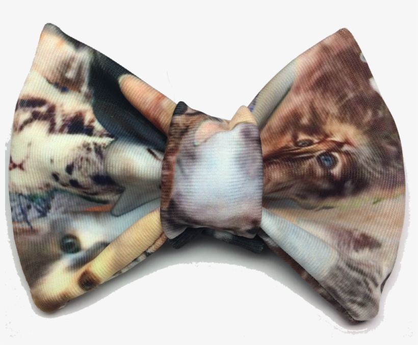 The Meta Cat Bow Tie, transparent png