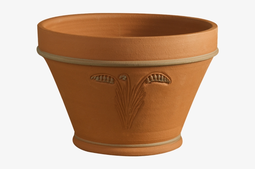 Rhs Bluebell Planter - Terracotta Pot, transparent png