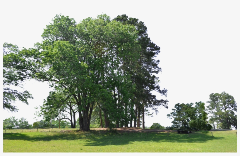 Go To Image - Park, transparent png