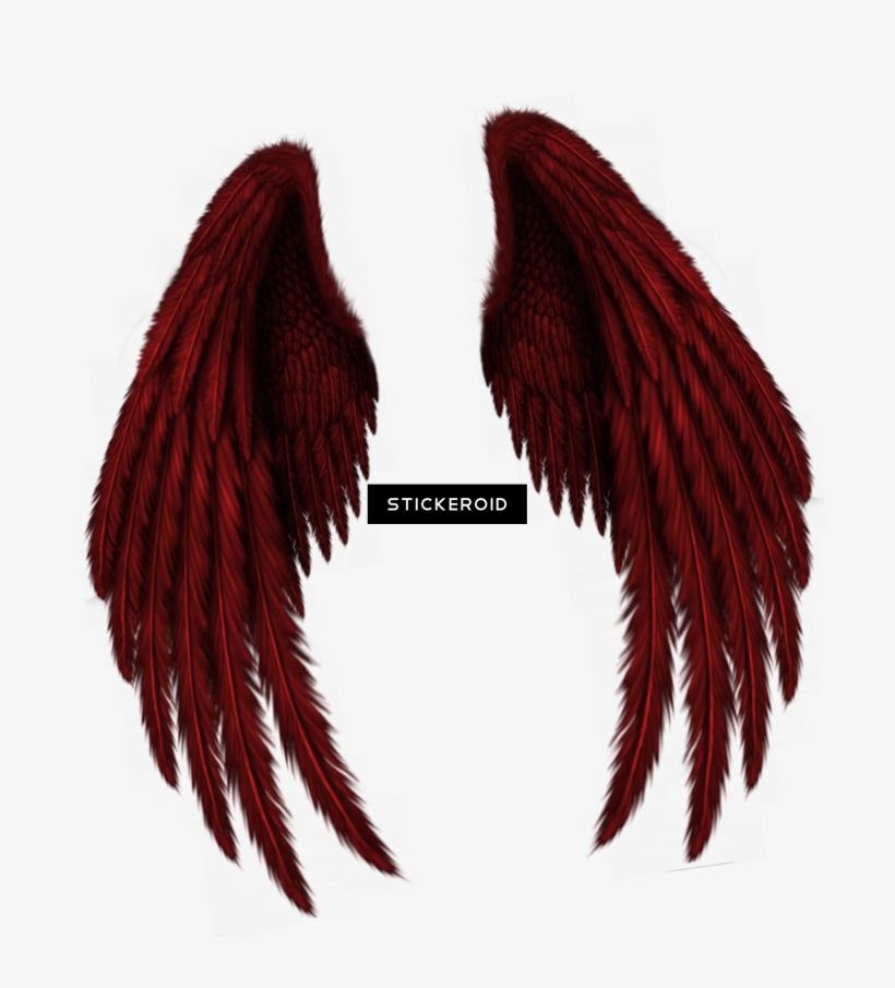 White Angel Wings - Illustration, transparent png