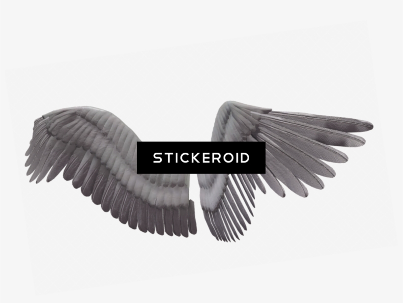 White Angel Wings - Portable Network Graphics, transparent png