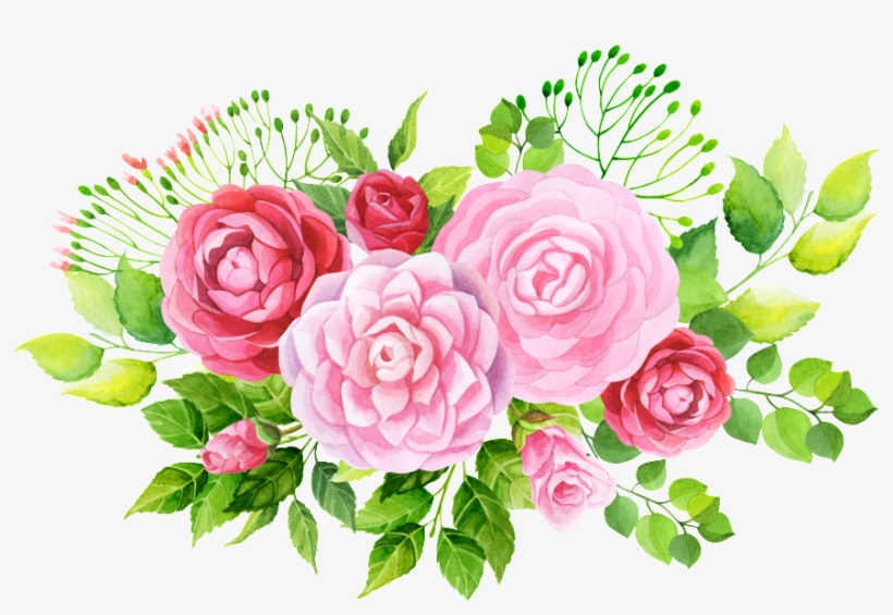 Pintado A Mano De Tres Variedades De Flores Png Transparente - Flower, transparent png