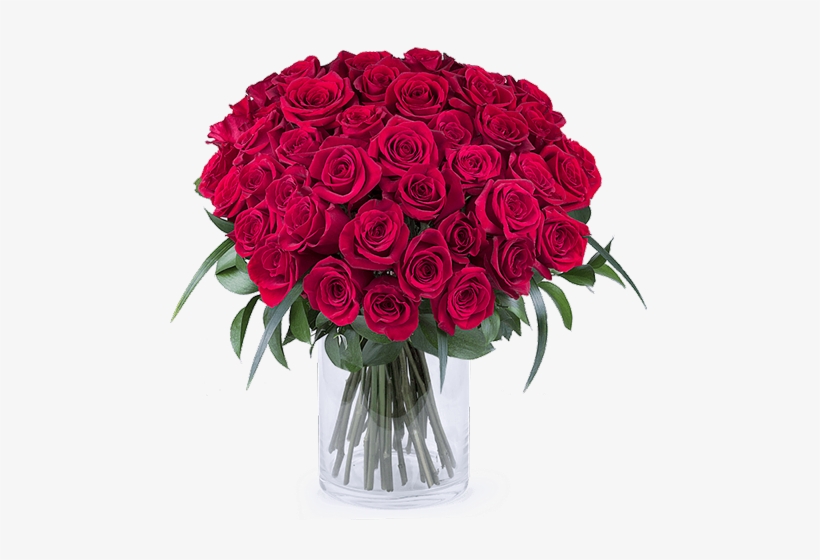 50 Shades Of Red - Significado De La Cantidad De Rosas Que Te Regalan, transparent png