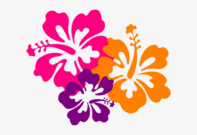Small - Hibiscus Clip Art, transparent png