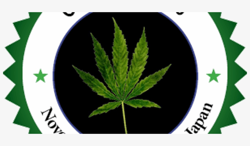 International Conference On Cannabis And Medicinal - Cannabis, transparent png