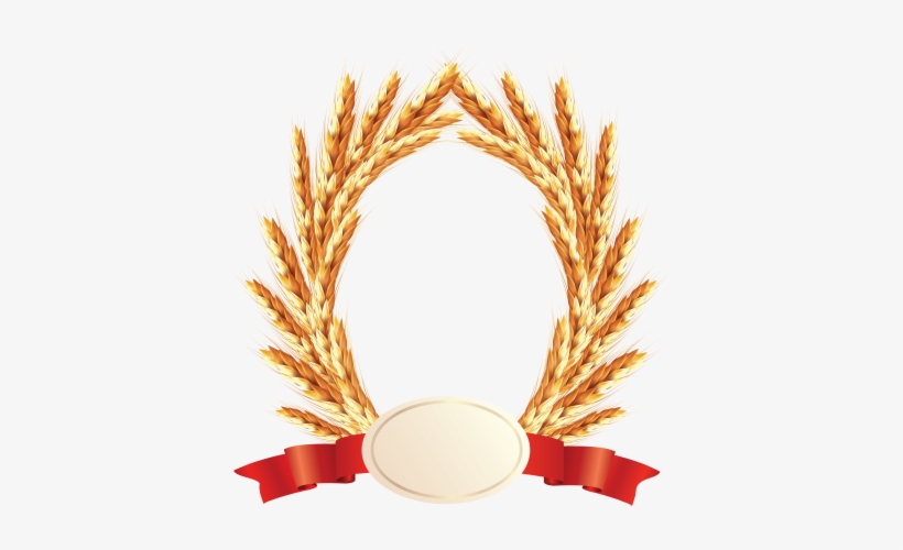 Wheat Png, Download Png Image With Transparent Background, - Arroz Png, transparent png