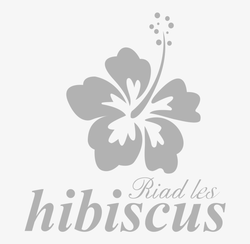 Riad Hibiscus - Car Stickers Hibiscus Flower Sticker, transparent png